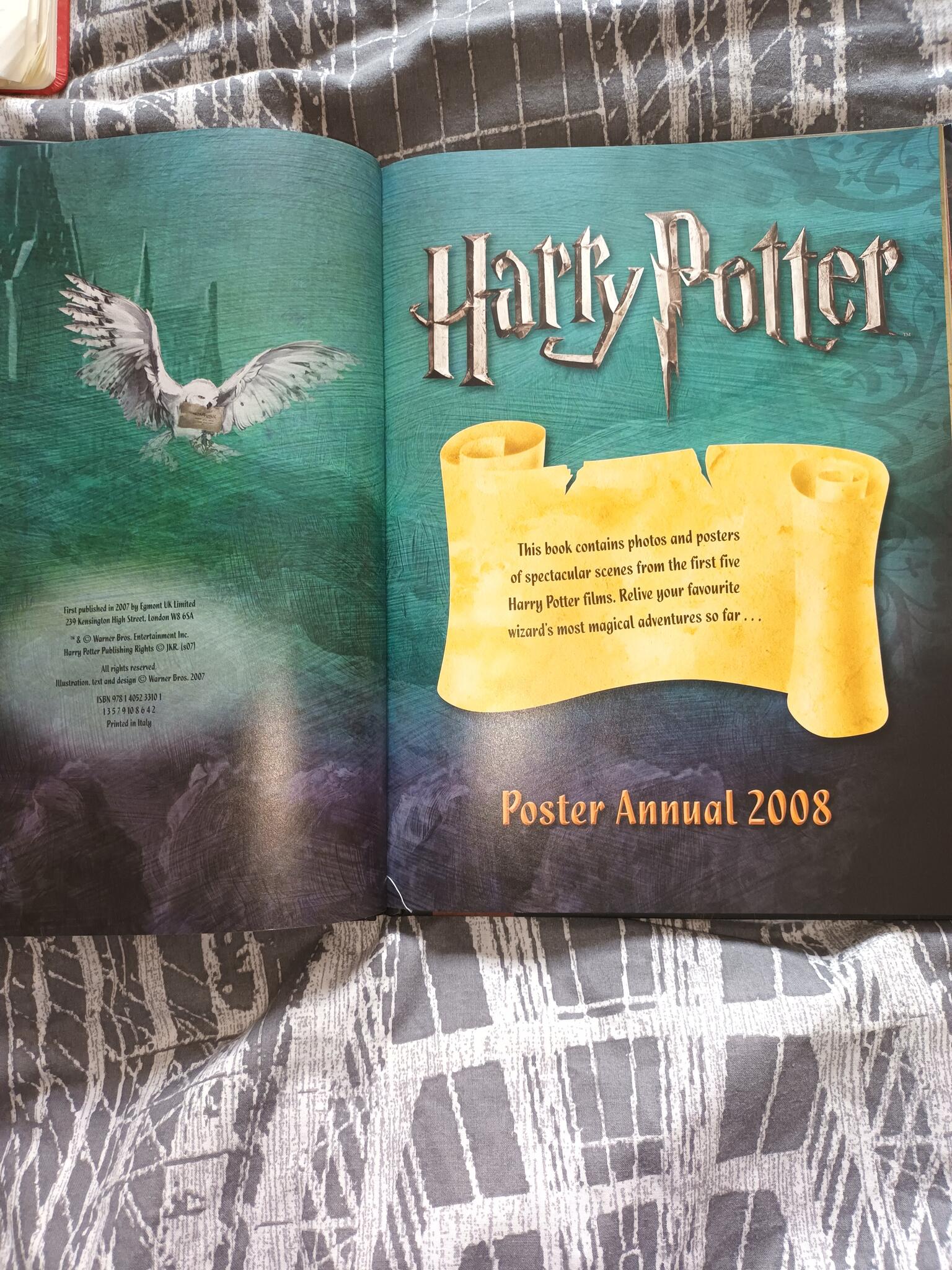 Harry Potter 2008 Poster Annual For £20 In Reading, Engl