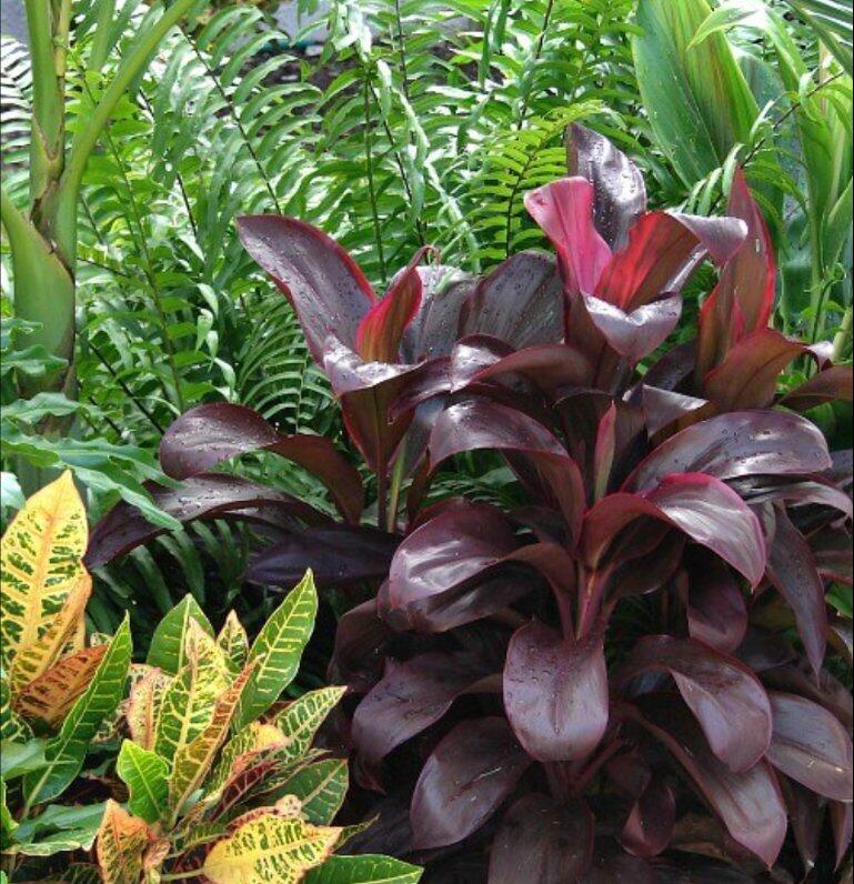 Hammock Gardens Nursery & Florist - Palm Coast, FL - Nextdoor