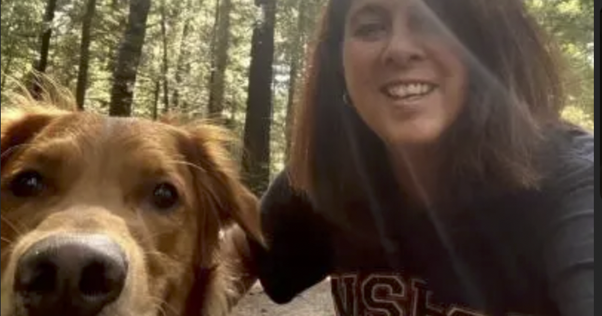 Pet and house sitting in woodbury ct for sale free nextdoor
