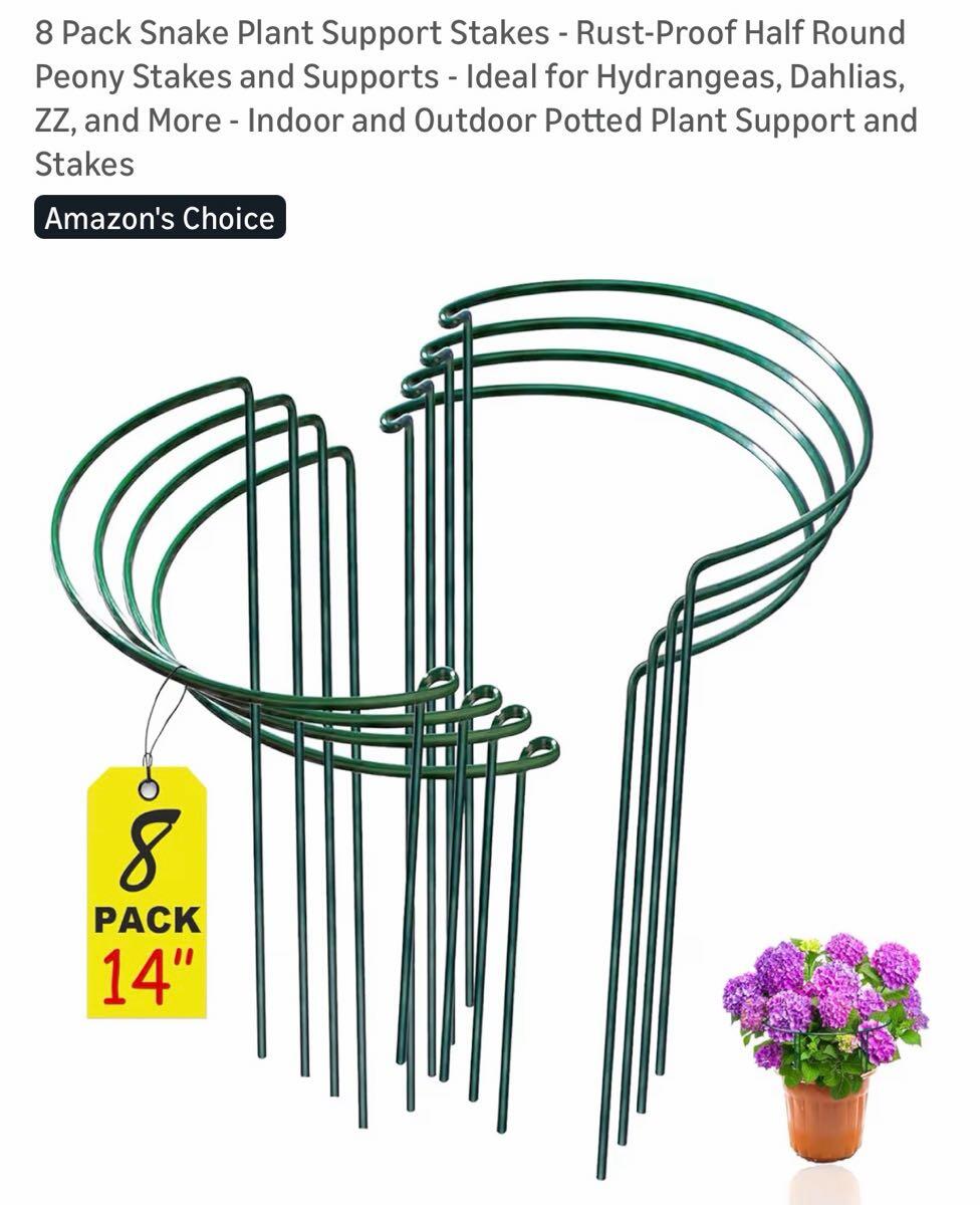 pea seeds plant Pea Seed Collection  Sweet, Crisp Harvests Early in the Season  CaliKim  Garden & Home DIY, Inc