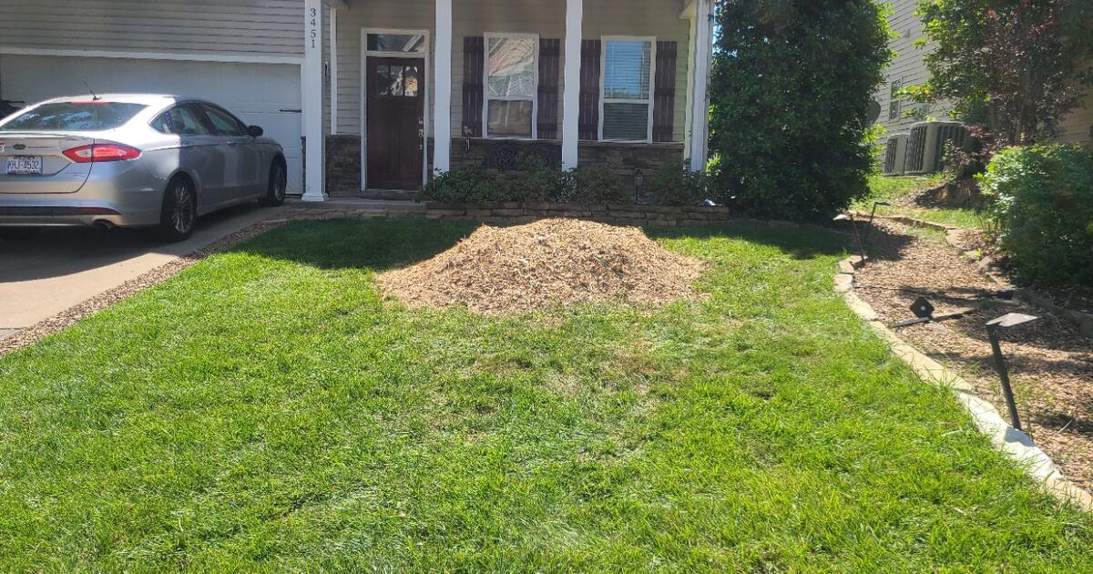Tree Stump Mulch! for Free in Raleigh, NC For Sale & Free — Nextdoor