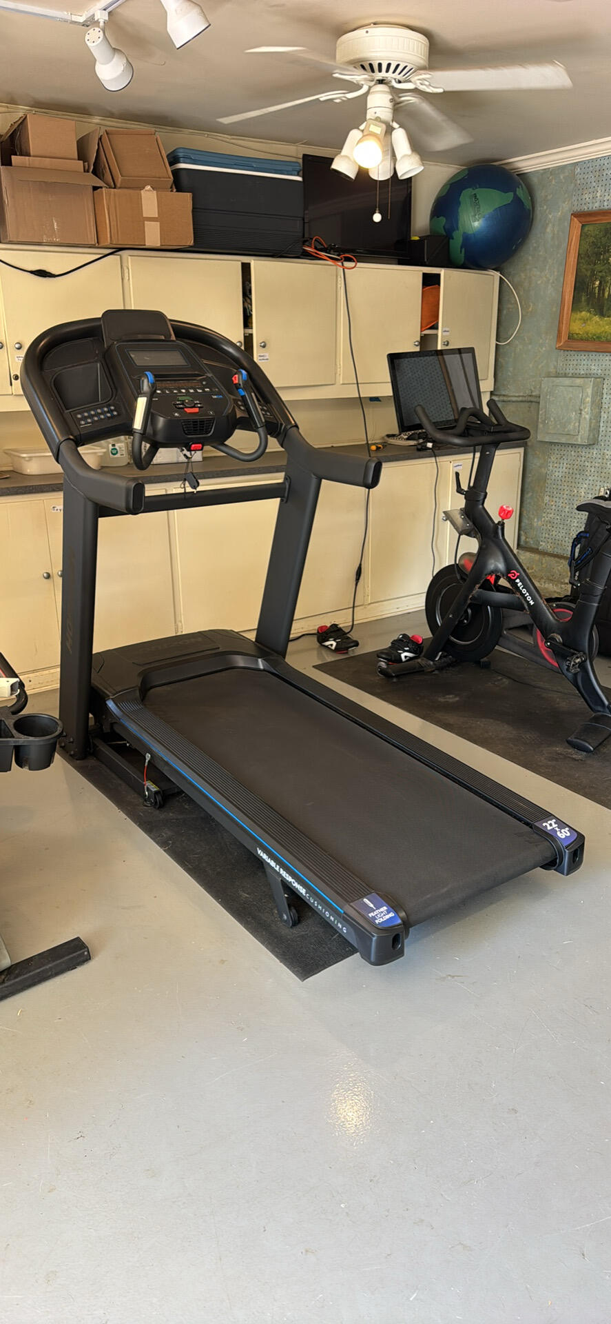 Brentwood, Los Angeles Everything You Need to Know