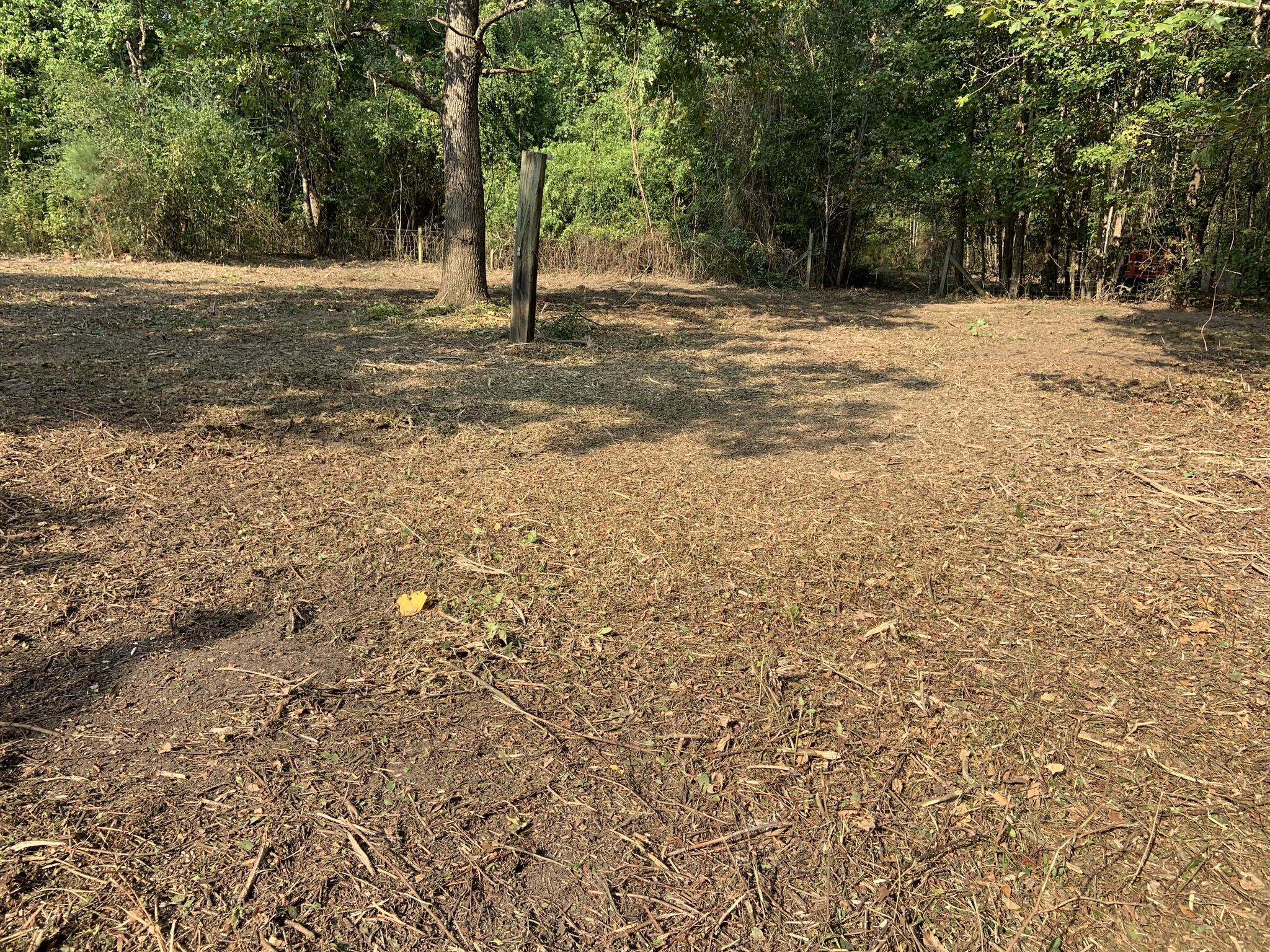 Aniko Rains - Cleveland, TX - Nextdoor