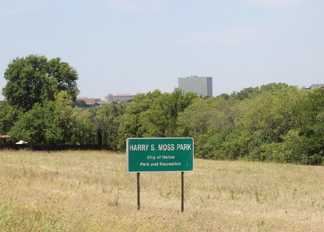UPDATE Harry S. Moss Park Soccer Fields (Dallas Park and Recreation