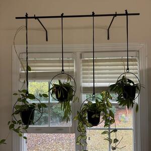 Hanging Planters with 4 Hoyas Included