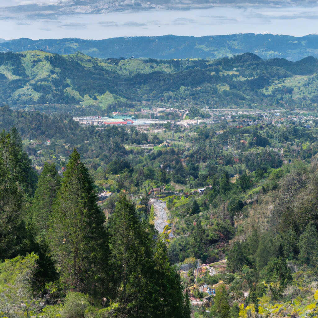 Crestmont, Angwin News, Crime, Lost Pets, Free Stuff