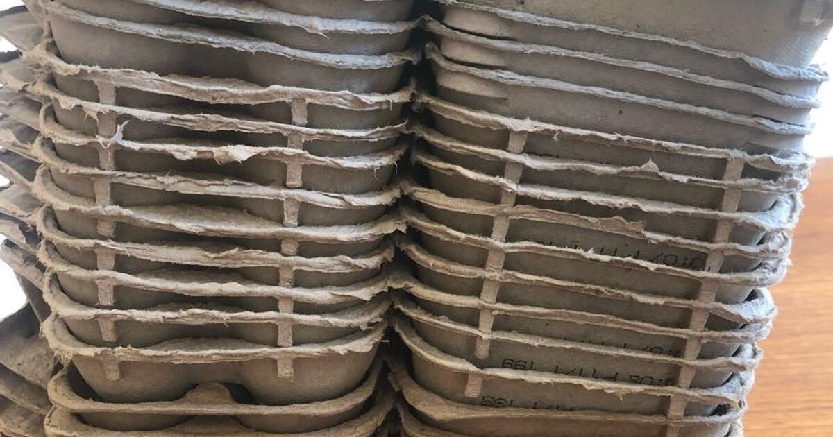 Free cardboard egg cartons (maybe trade for eggs?) for Free in Thousand