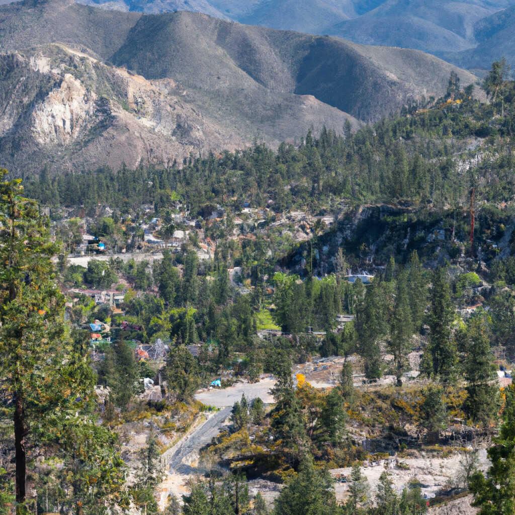 Wrightwood, Wrightwood News, Crime, Lost Pets, Free Stuff