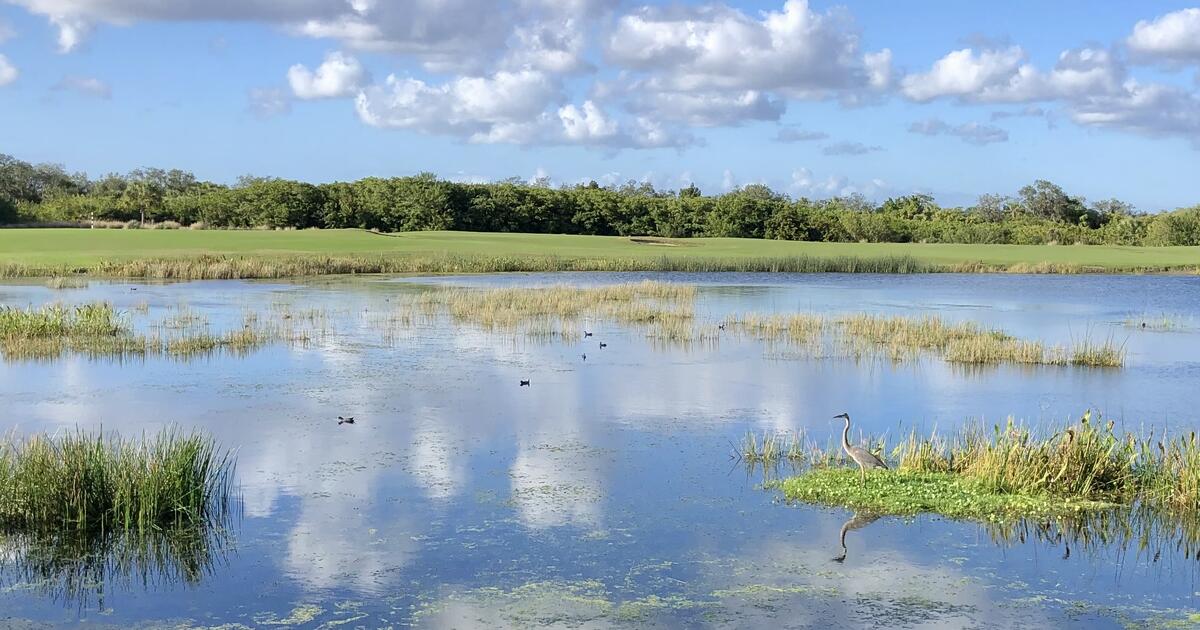 River Strand Condo for rent for 1900 in Bradenton, FL For Sale