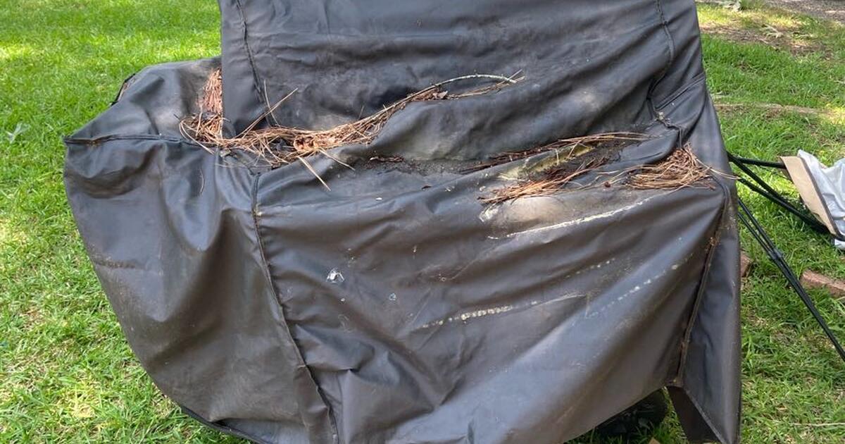 Curb Alert 1511 Myrtle street for Free in Jackson, MS Finds — Nextdoor