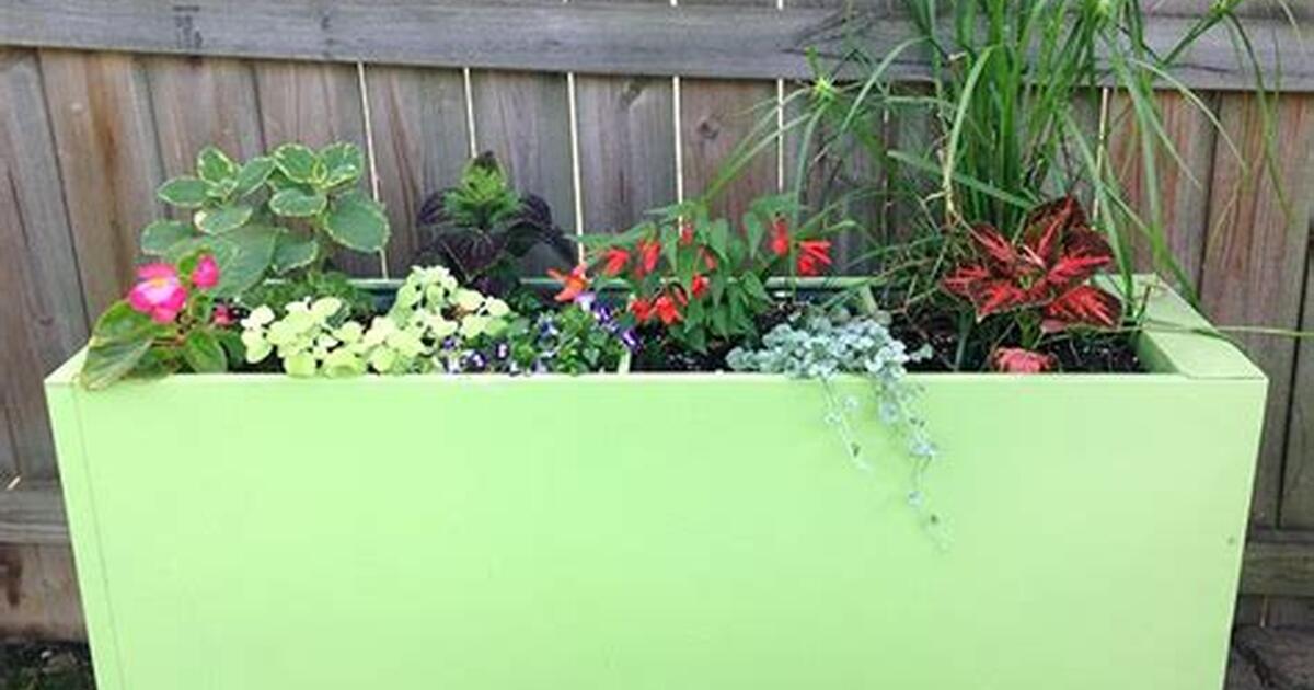 Free Topsoil, Cow's Manure & Organic Soil for Free in Denver, CO