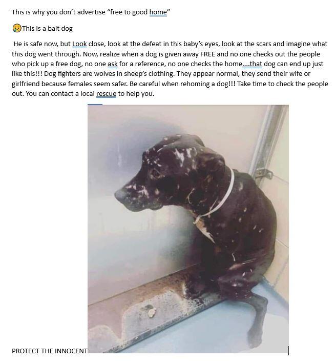 Free to good home in Lafayette, IN For Sale & Free — Nextdoor