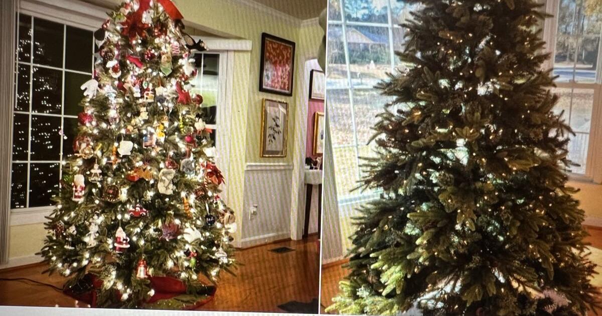 Balsam Hill 7’ lighted Christmas tree for 100 in Trent Woods, NC For