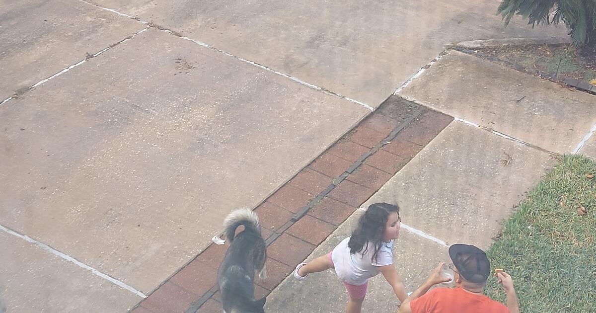 Kennel needed ISO for Free in Houston, TX Finds — Nextdoor