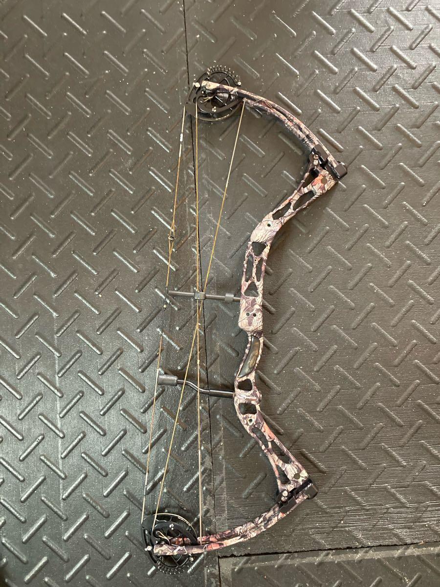 Strothers Compound Bow - new strings and cables