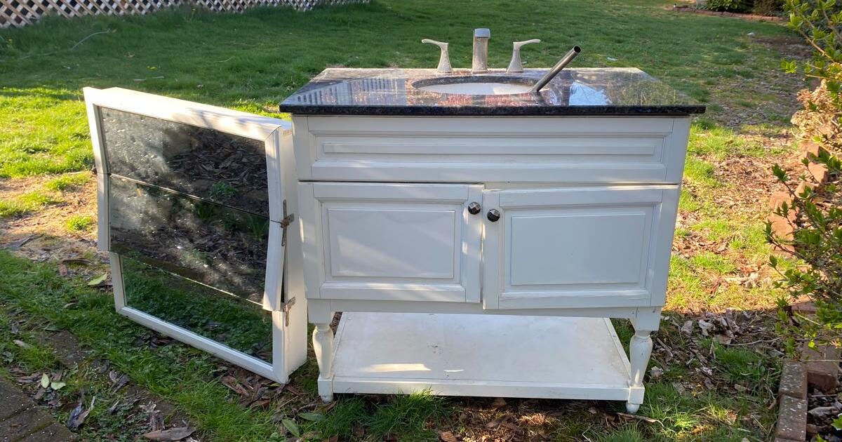 Vanity and mirrored medicine for Free in Edmonds, WA Finds