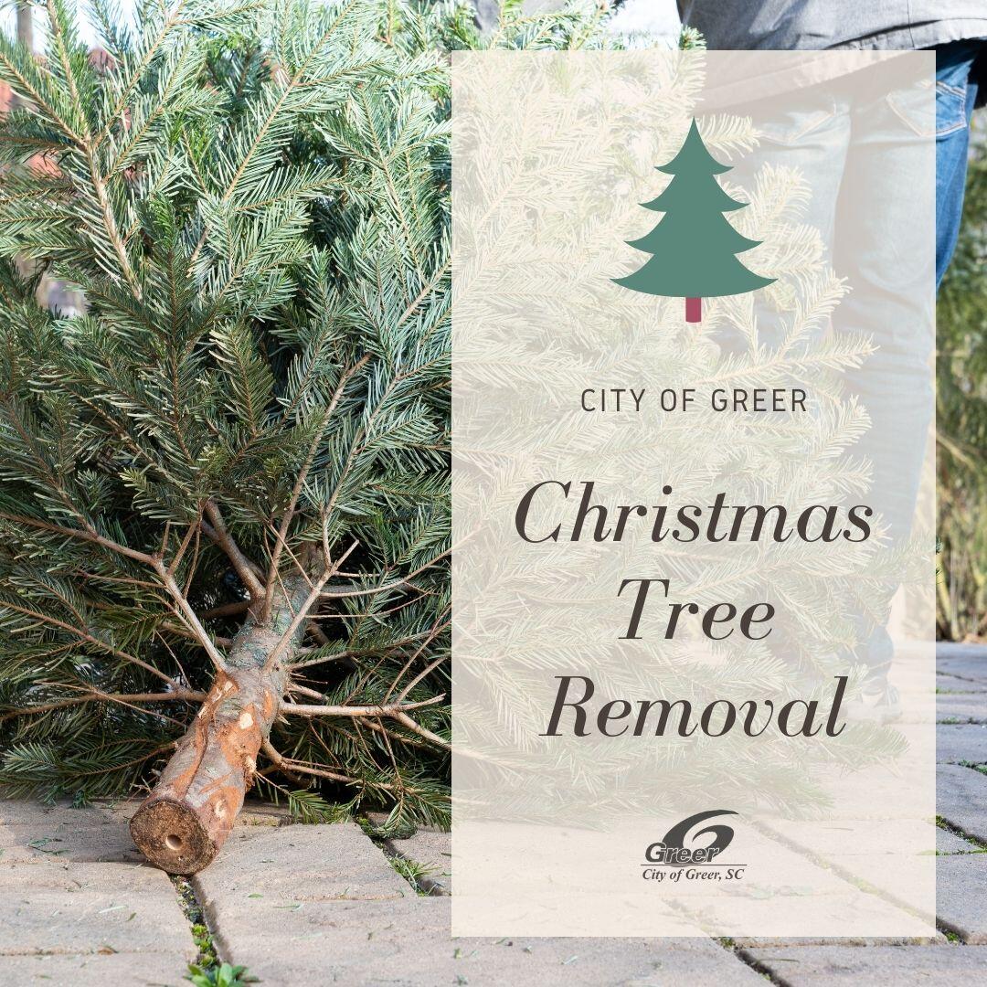Christmas Tree Removal (City of Greer) — Nextdoor — Nextdoor