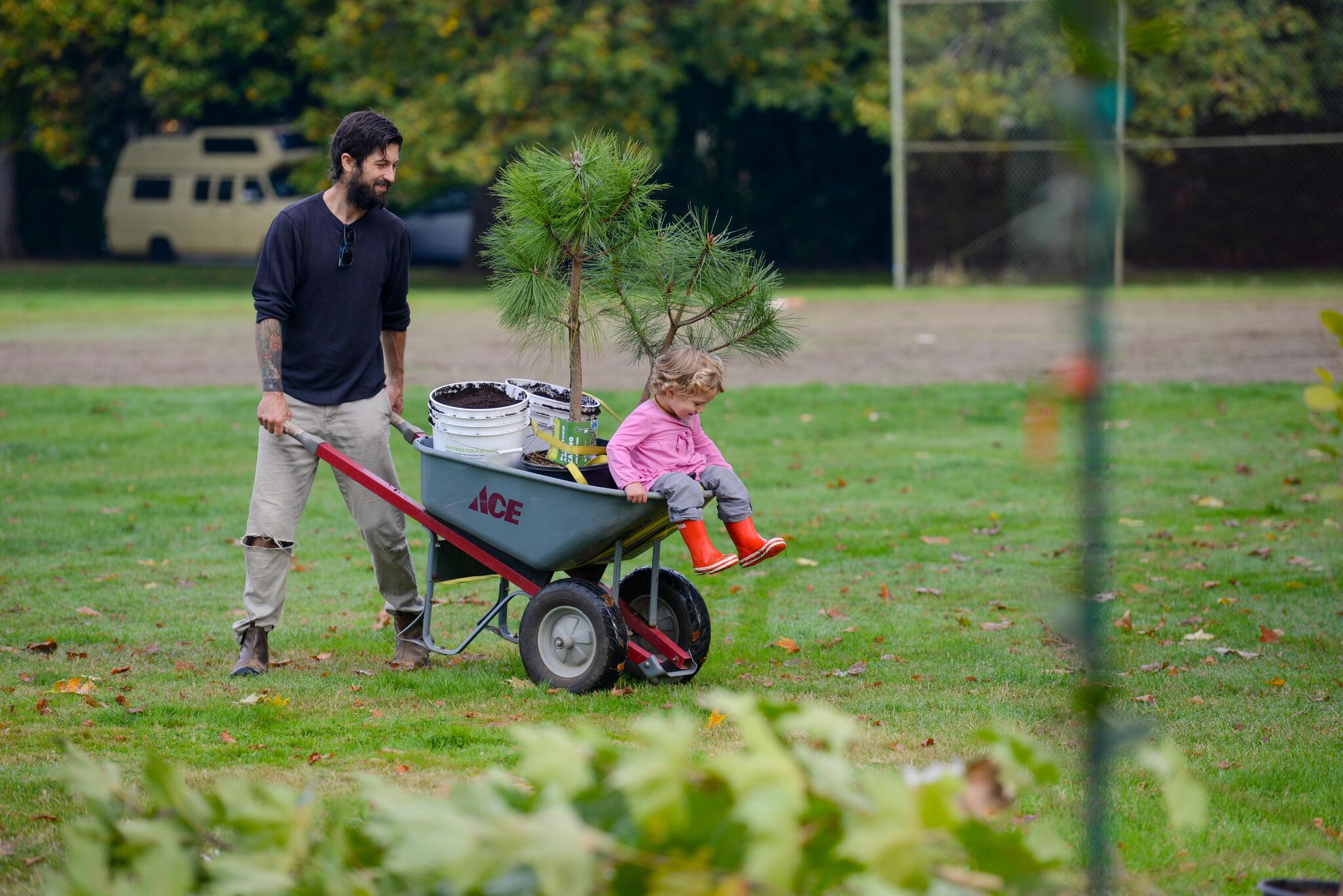 free-trees-it-s-the-perfect-time-of-year-to-plant-a-tree-in-your-yard