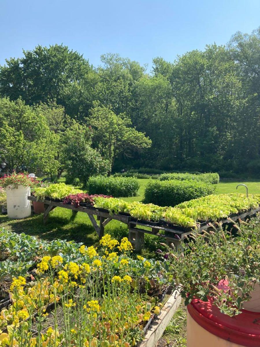 Filanowski Farms - Milford, CT - Nextdoor