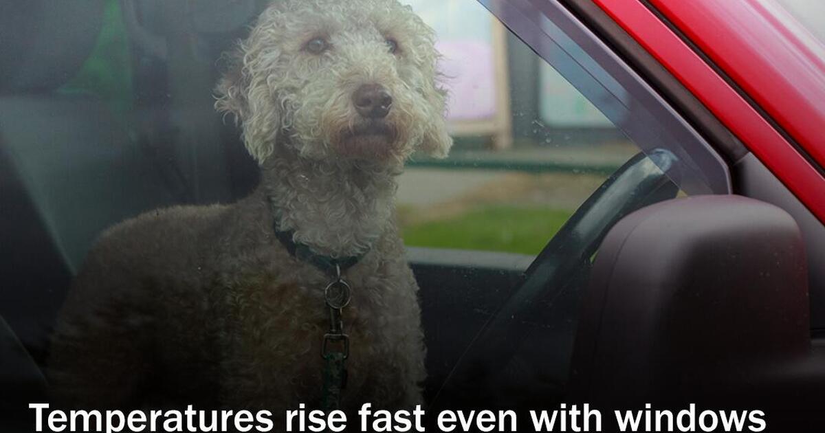 never-leave-children-people-with-access-or-functional-needs-or-pets