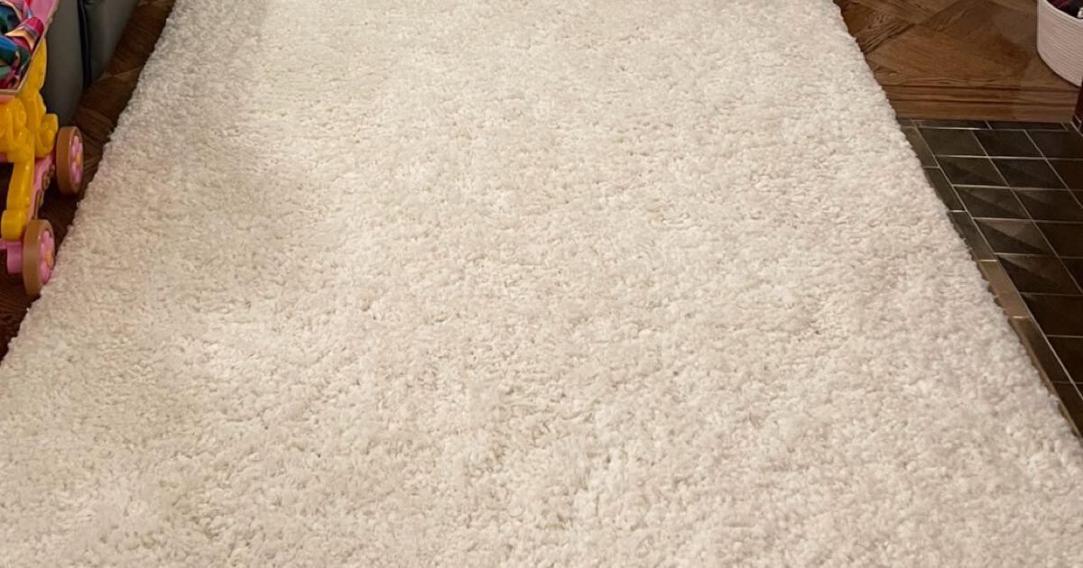 Pottery Barn 5 x 8 microplush shag rug for 200 in San Francisco, CA