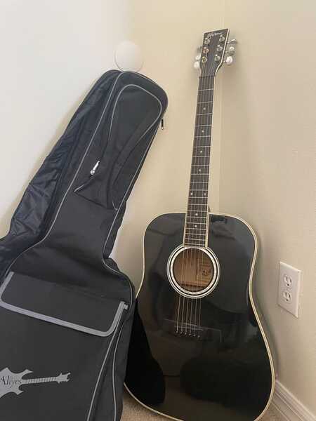 Elezan acoustic electric deals guitar