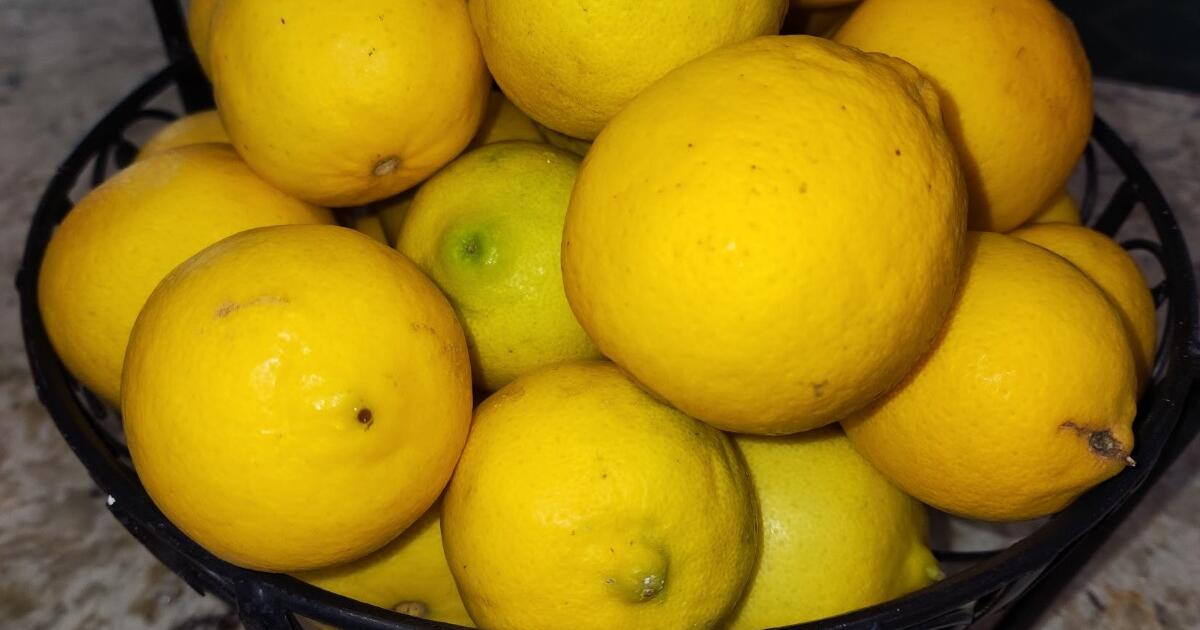 Lemons/Limes for Free in San Diego, CA For Sale & Free — Nextdoor