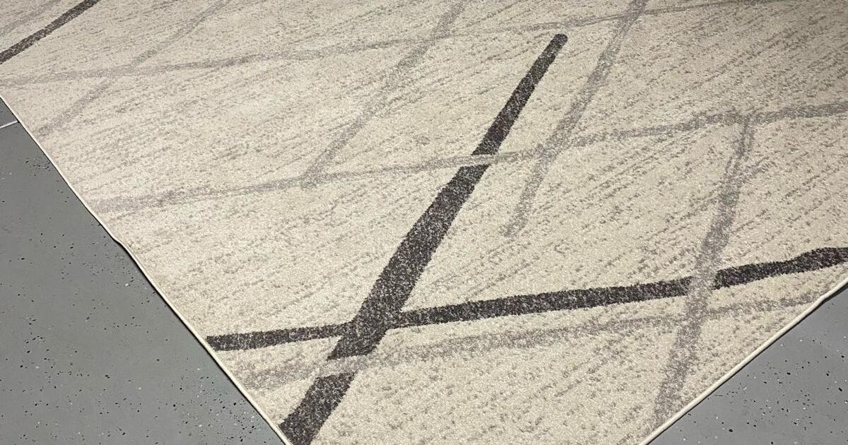 Brand new 9x12 rug for 150 in Peoria, AZ For Sale & Free — Nextdoor