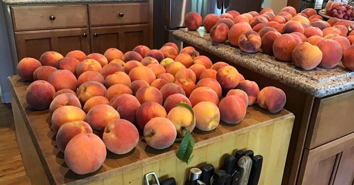 Organic Peaches 🍑 for 3 in Grand Junction, CO Finds — Nextdoor