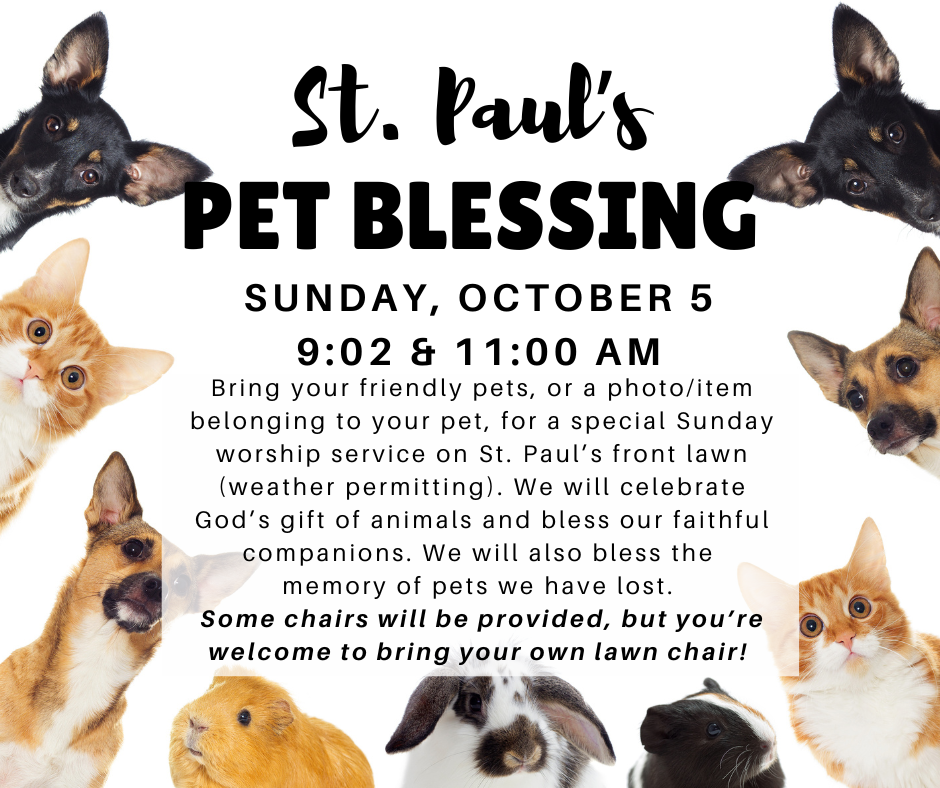 Blessing of the Animals