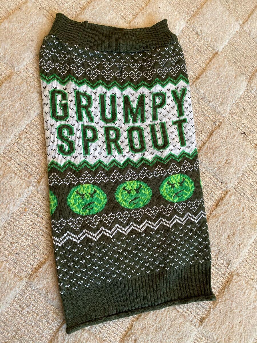 grumpy sprout jumper
