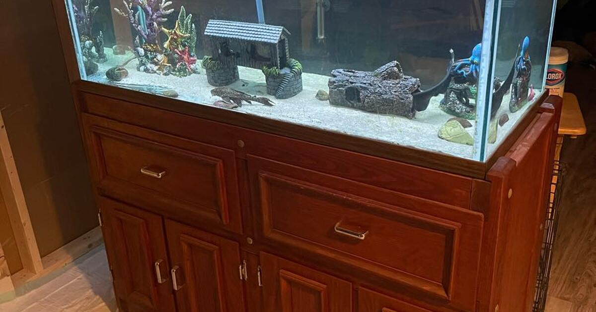 80 Gallon Aquarium with 300 for 300 in Dothan, AL For Sale