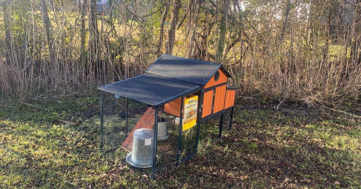 Chicken Coop Sentinel brand new runner/loft for 300 in Dickinson, TX