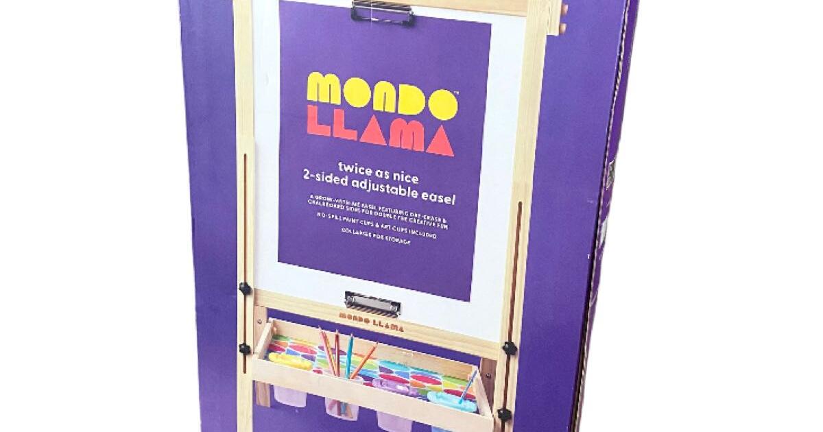 2-sided Dry Erase/Chalkboard Collapsible Easel with No-Spill Paint Cups and  Art Clips - Mondo Llama