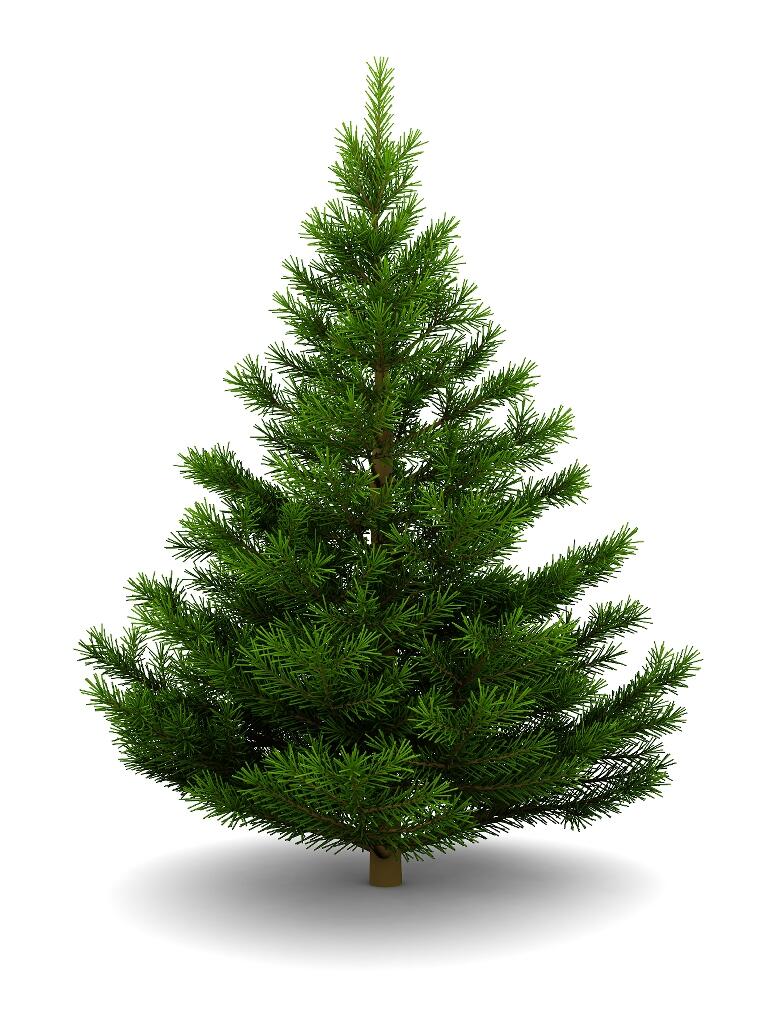 Christmas tree pickup (City of Dayton) — Nextdoor — Nextdoor