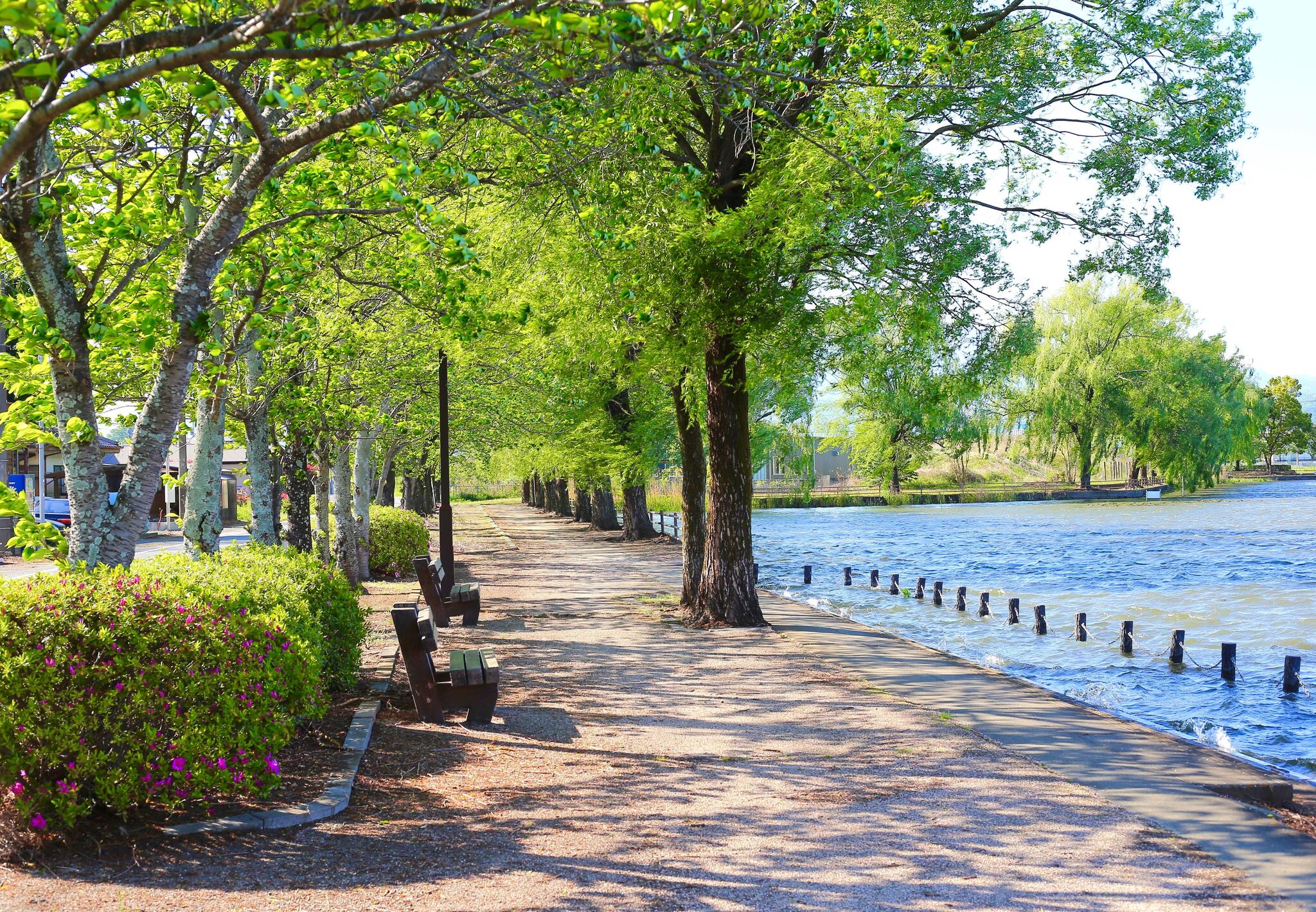 2024 Best Places To Live In Clearwater Florida