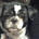 Enith's profile photo