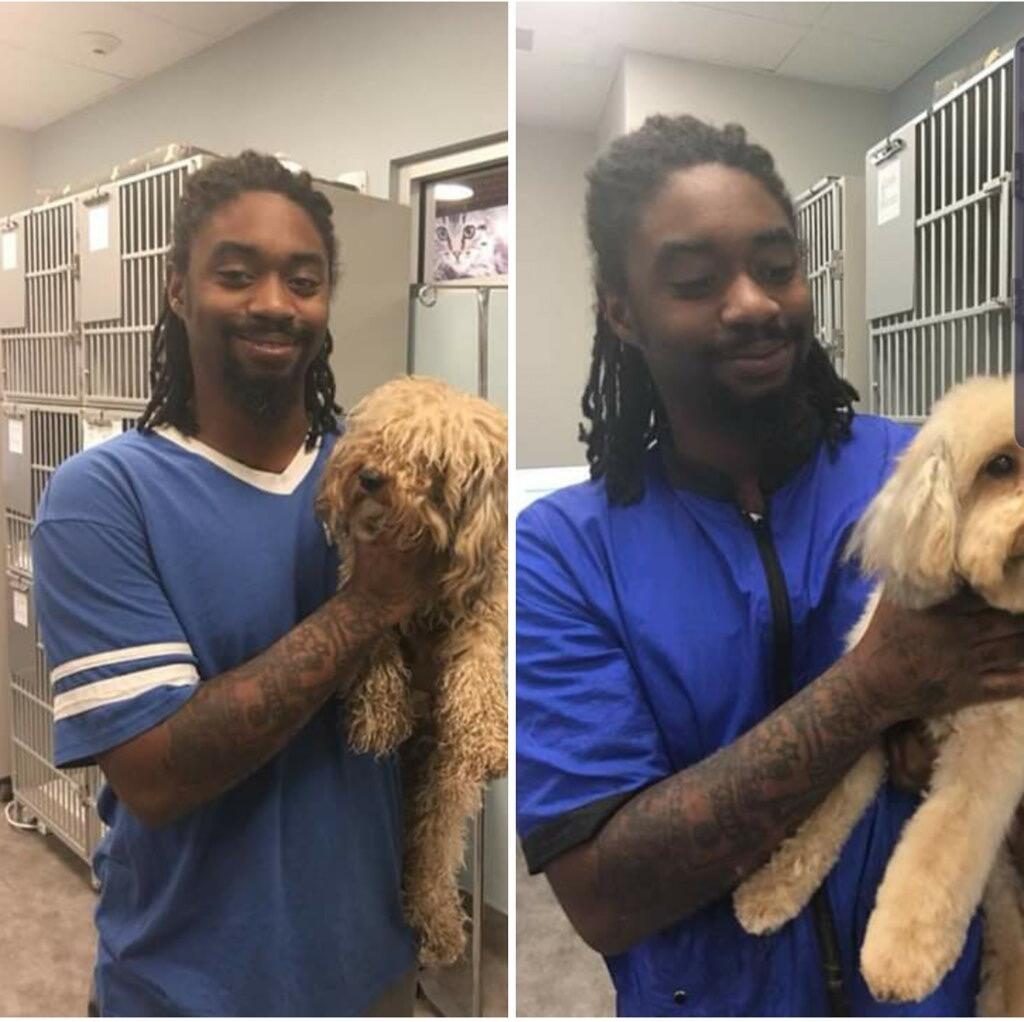 Timothy Freeney dog grooming Denver, CO Nextdoor