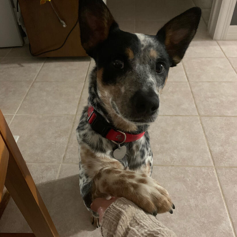 Vittana Oasis Exterior cleaning Services Conroe, TX Nextdoor