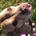 Les's profile photo