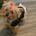 Nylla's profile photo