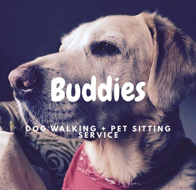 Buddies dog hot sale walking