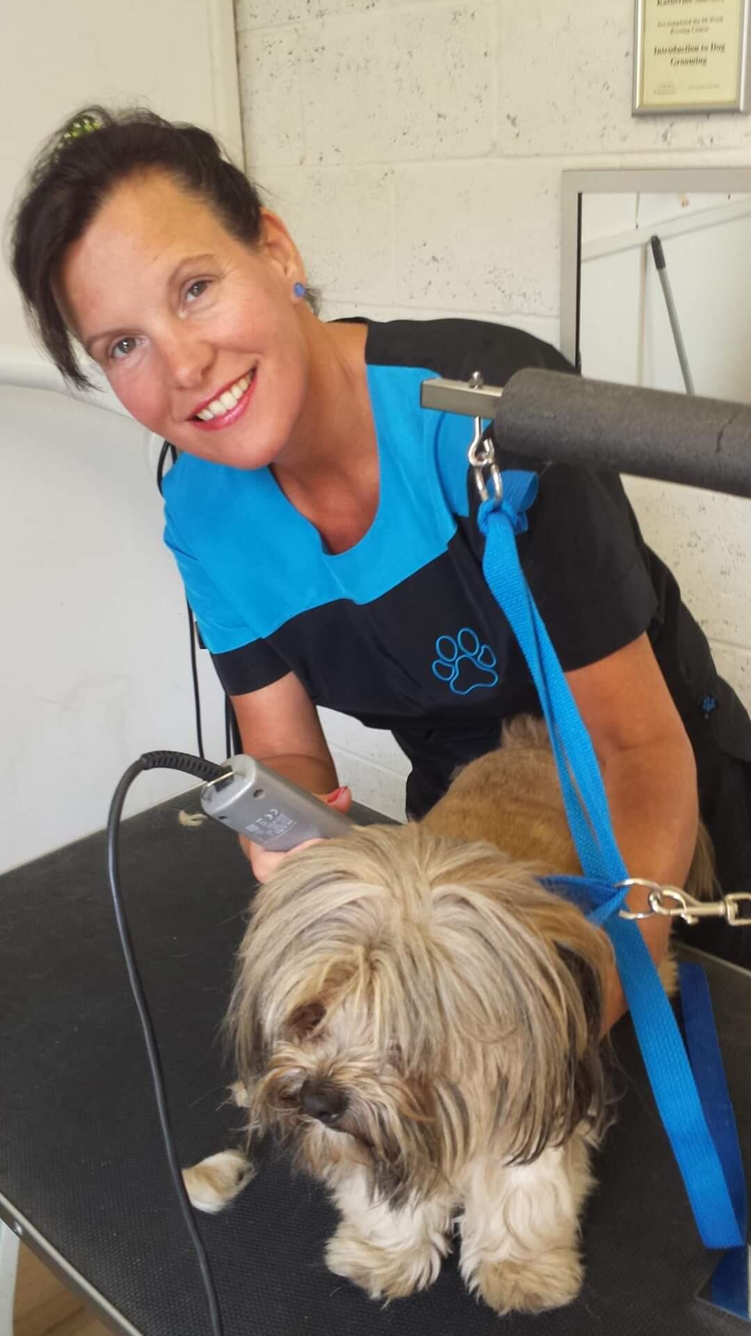 Kay's Dog Grooming Eastbourne Nextdoor