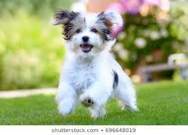 Joanna Morales - Farnborough - Nextdoor