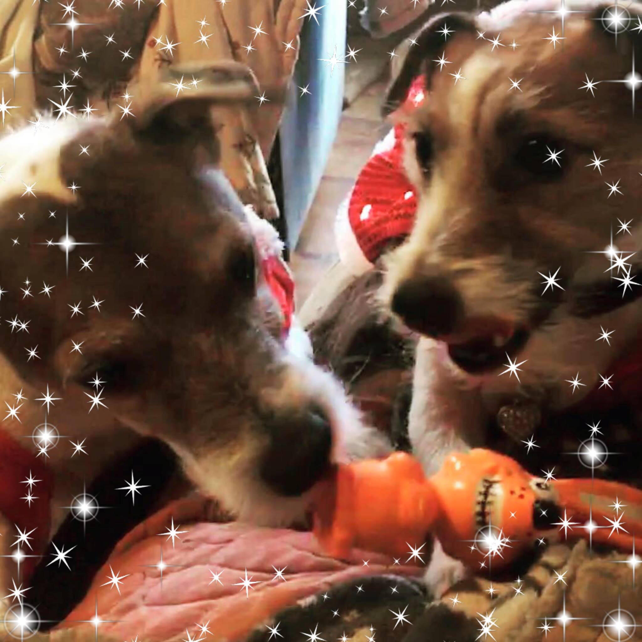 Woodstock Landscaping and Excavating West Hurley, NY Nextdoor